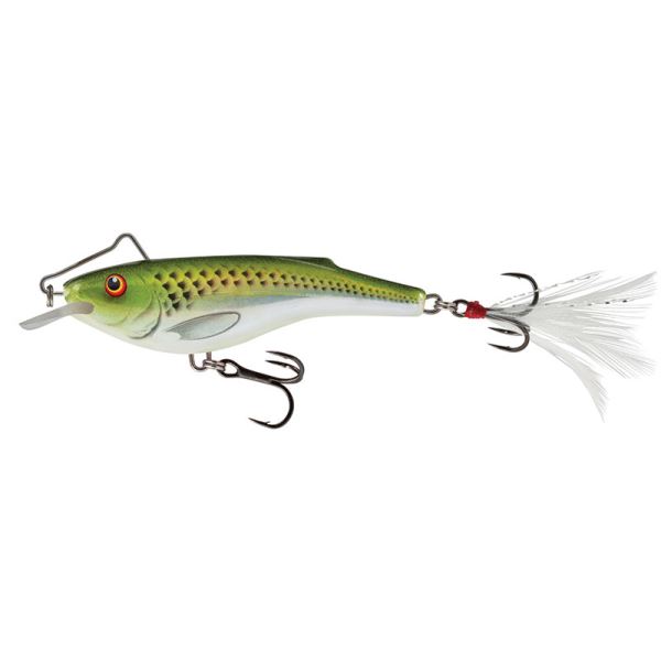 Salmo Wobler Rail Shad Sinking Holographic Green Shiner - 6 cm 14 g
