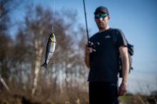 Fox Rage Gumová Nástraha Replicant Swim Chartreuse 18 cm (4)