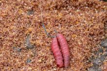 Preston Innovations Háčky XFS-B Size (4)