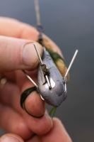 Korda Olovo Pro Mapování Dna Grapple Lead 2 ks (5)