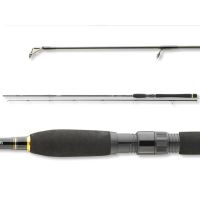 Daiwa Prut Legalis Spin 3,05 m 10-40 g (4)