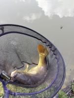 Browning Podběráková Hlava CK Competion Net 45x35x28 cm 8x8 mm (11)