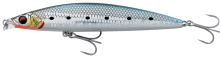 Savage Gear Wobler Gravity Shallow Floating LS Sardine - 11,5 cm 20 g