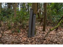 Avid Carp Camo Recovery Slings XLarge (10)