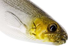 Westin Gumová Nástraha ShadTeez Official Roach 12 cm 15 g 2 ks (4)