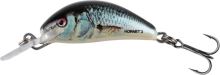 Salmo Wobler Hornet Floating Real Dace - 3,5 cm 2,6 g