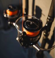 Daiwa Splétaná Šňůra J-Braid Expedition X8E Smash Orange 300 m (5)