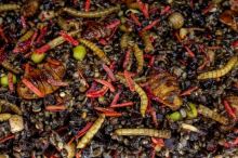 My-Baits Partikl Macromix "Wormageddon" 2 l (1)