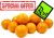 LK Baits Boilies Original Scopex Rod Hutchinson 1 kg 20 mm