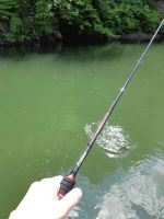 Sportex Prut Captor Spin 2,1 m 12-28 g (4)