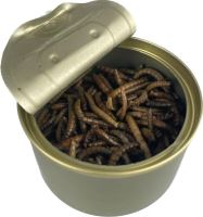 Carpway Mealworm Moučný Červ 35 g (1)