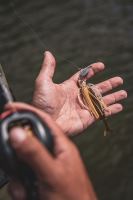 Fox Rage Třpytka Chatterbait Bladed Jig Wakasagi (2)