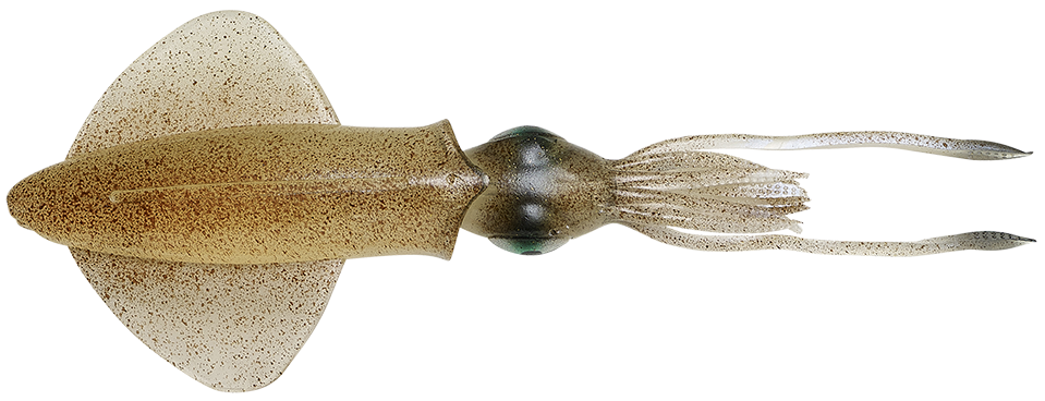 Levně Savage gear 3d swim squid sinking green eye - 1 ks 25 cm 86 g