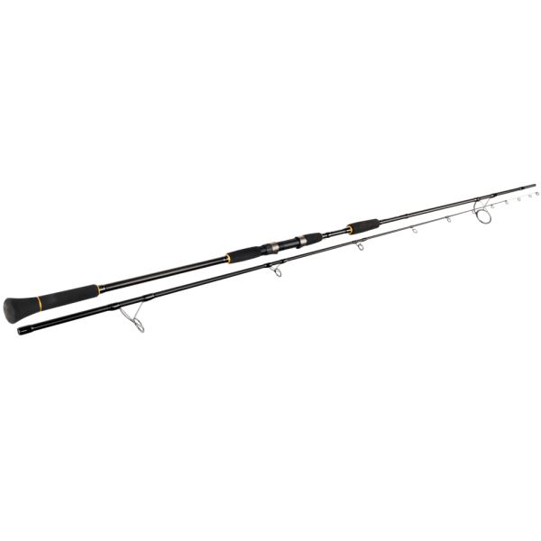 Sportex Prut Na Jesetery Sturgeon 3,6 m 3,5 lb 2-Díl