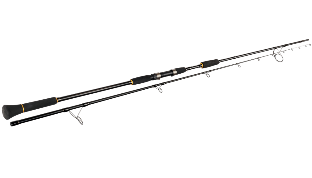 Sportex prut na jesetery sturgeon 3,3 m 3,5 lb 2-díl