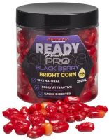 Starbaits Kukuřice Bright Ready Seeds 250 ml (1)