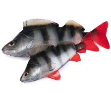 Fox Rage Gumová Nástraha Ultra Natural Perch Fillet 4 ks (3)