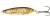 Westin Plandavka Great Heron Brown Trout Fry