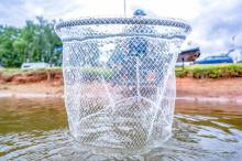 Preston Innovations Podběráková Hlava Carbon Euro Match Landing Net (3)