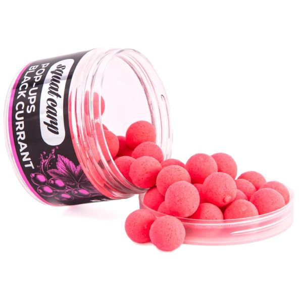 Squat Carp Plovoucí Boilies Pop-Up BlackCurrant 60 g