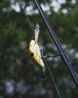 Salmo Wobler Hornet Floating Real Identity Perch (8)