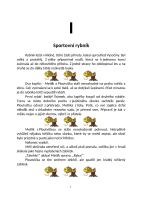 Kniha Kapřík Metlík ve sportovním rybníku (1)