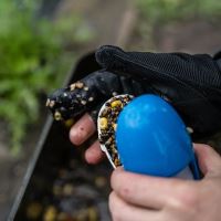 Nash Nahazovací Rukavice Spot On Casting Glove (4)