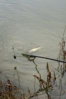 Korum Podběráková Tyč Limitless Power Handle Tele (6)