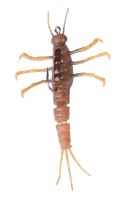 Savage Gear Gumová nástraha 3D TPE Mayfly Nymph Brown - 5 cm 2,5 g (1)