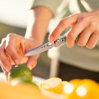 Leatherman Nůž Skeletool KB Aurora (1)