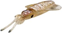 Savage Gear Swim Squid LRF Cuttlefish 5 ks 5 cm 0,8 g (1)