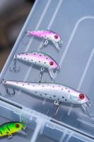 Zebco Wobler Demonic Perchfinder Rainbow 5 cm 4,75 g (1)