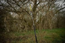 Black Cat Prut Perfect Passion X Long Range 3,30 m 600 g 2-Díl (10)