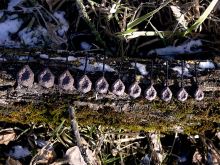 Delphin Olověná Zátěž CyberBARBED TUBE (2)