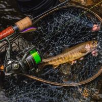 Shimano Naviják Cardiff XR C2000S HG (7)