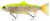 Savage Gear Gumová Nástraha 3D Line Thru Trout Clear Lemon Trout