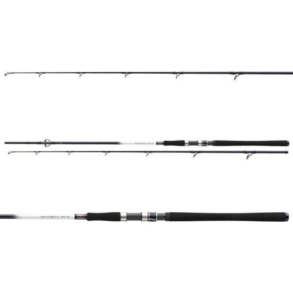 Daiwa Prut Grandwave Pollock 2,4 m 40-100 g 2 Díly