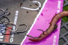 Preston Innovations Háčky Natural N-60 (7)