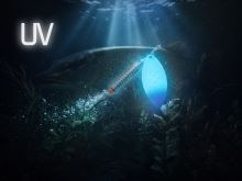 Delphin Třpytka Rotačka Spear Bloody (3)