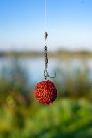Chytil Boilies Pandemia 24 mm 100 g (13)
