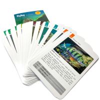 Kvarteto - hra pro rybáře s kartami ryb Kvarteto - hra pro rybáře s kartami ryb