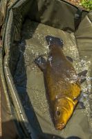 Korum Přepravní Taška/Podložka Opportunist Mat Bag (13)