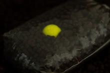 Sticky Baits Plovoucí Boilies Pineapple Pop-Ups 100 g (2)