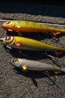 Fox Rage Gumová Nástraha Super Slick Shad Loaded UV Golden Prey (11)