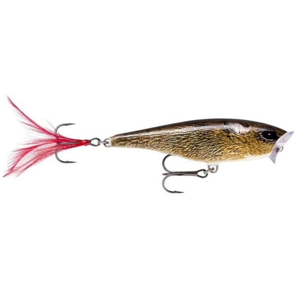 Rapala Wobler Skitter Pop Top Water Fresh FML