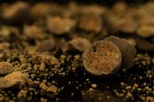 Sticky Baits Boilie Bloodworm Shelf Life (3)