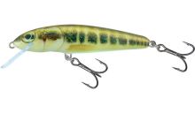 Salmo Wobler Minnow Floating Minnow