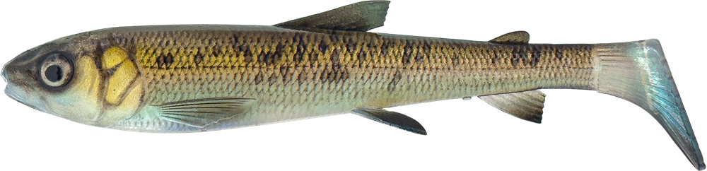 Levně Savage gear gumová nástraha 3d whitefish shad sinking green pearl - 15 cm 27 g