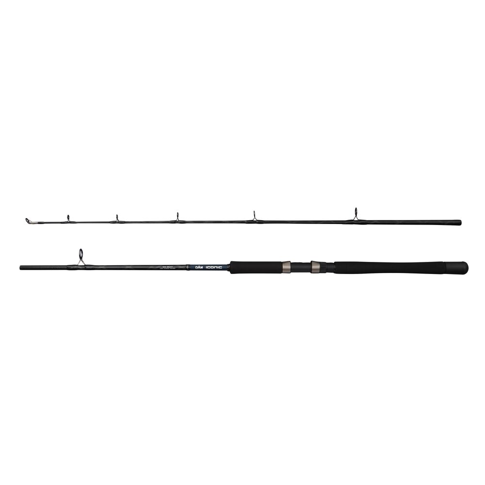 Dam prut iconic2 sw boat 2,1 m 100-250 g 2-díl