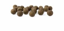 Nash Boilie The Key Stabilised Boilies (1)